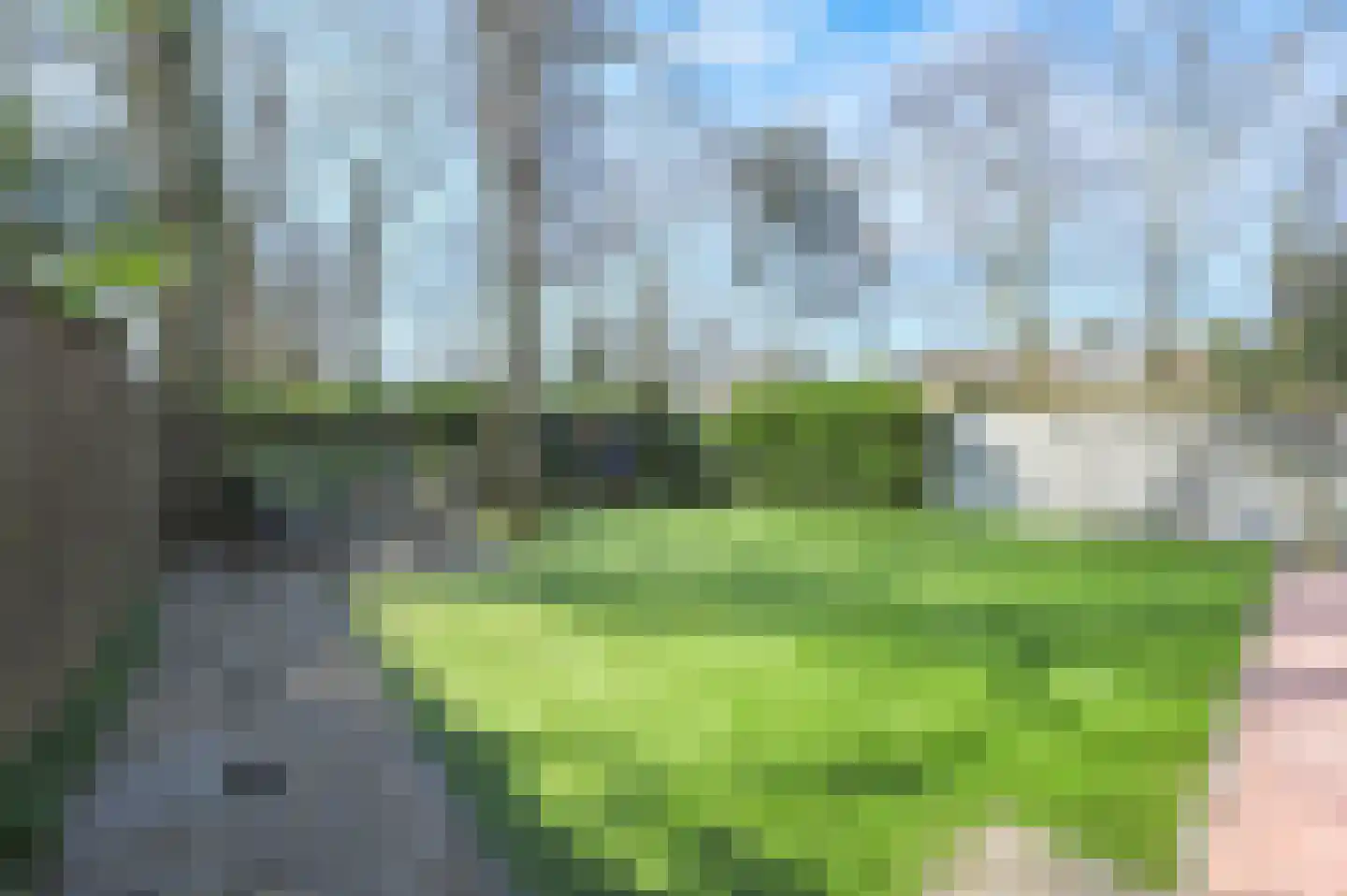 Wittelaan 4 A Wassenaar thumbnail 18