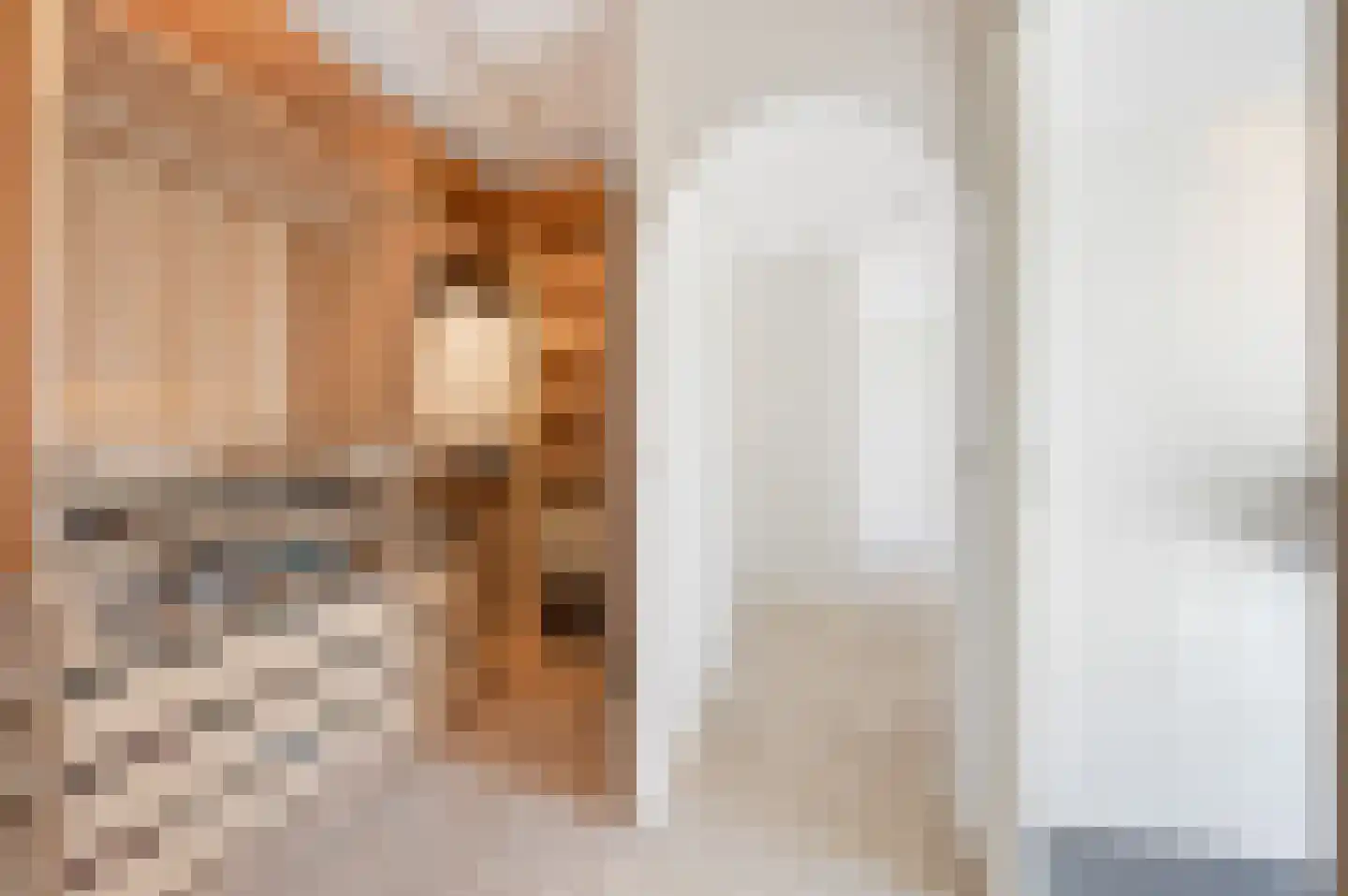Wittelaan 4 A Wassenaar thumbnail 25