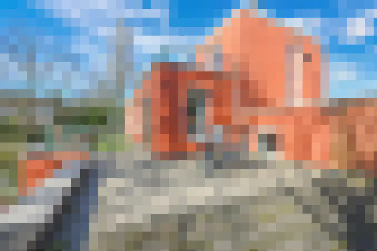Wittelaan 4 A Wassenaar thumbnail 29