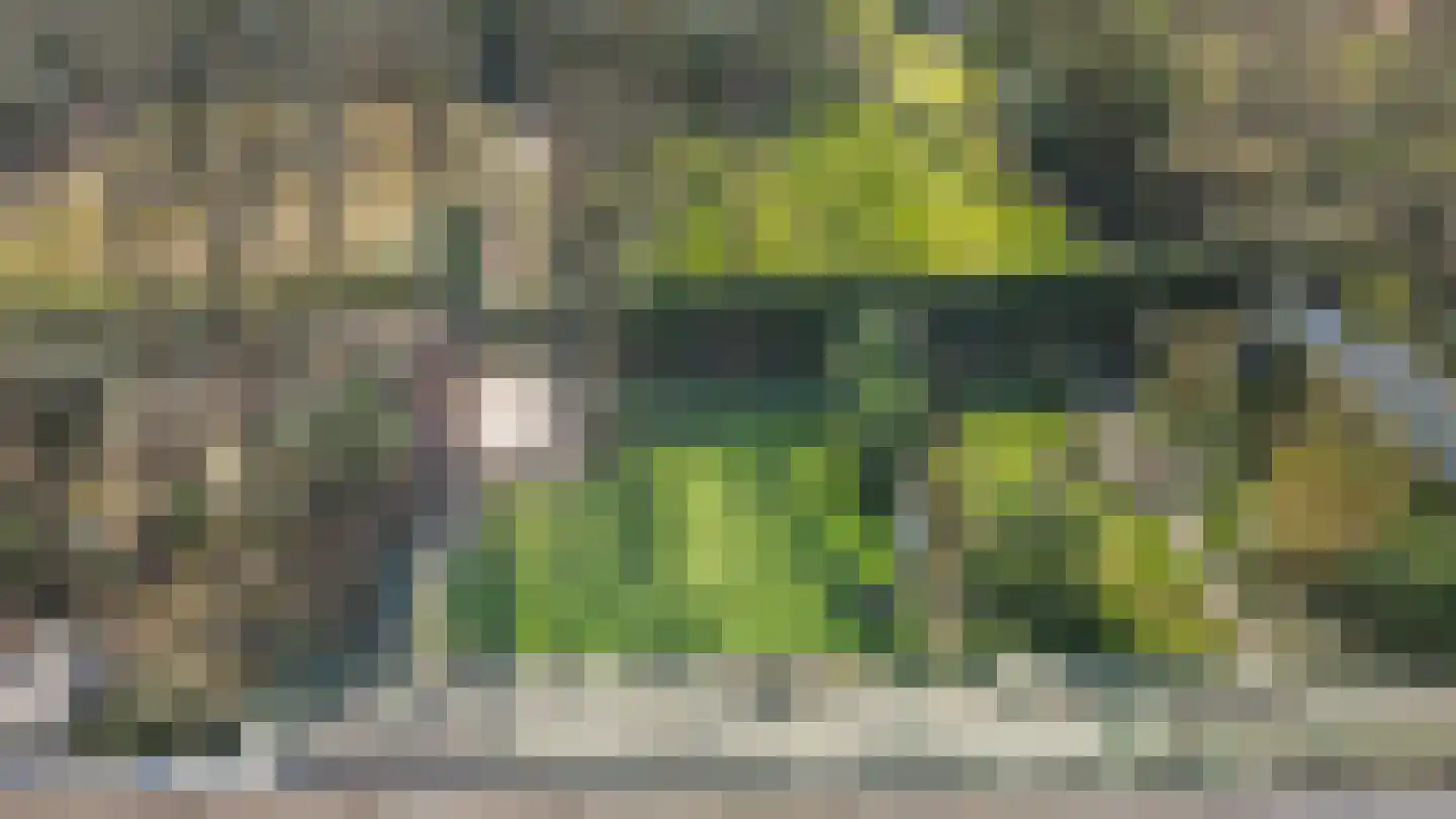 Wittelaan 4 A Wassenaar thumbnail 31