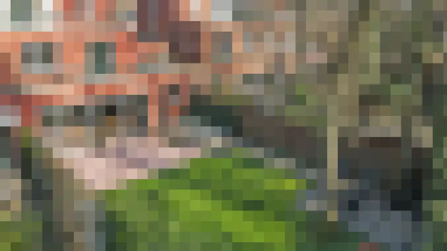 Wittelaan 4 A Wassenaar thumbnail 32