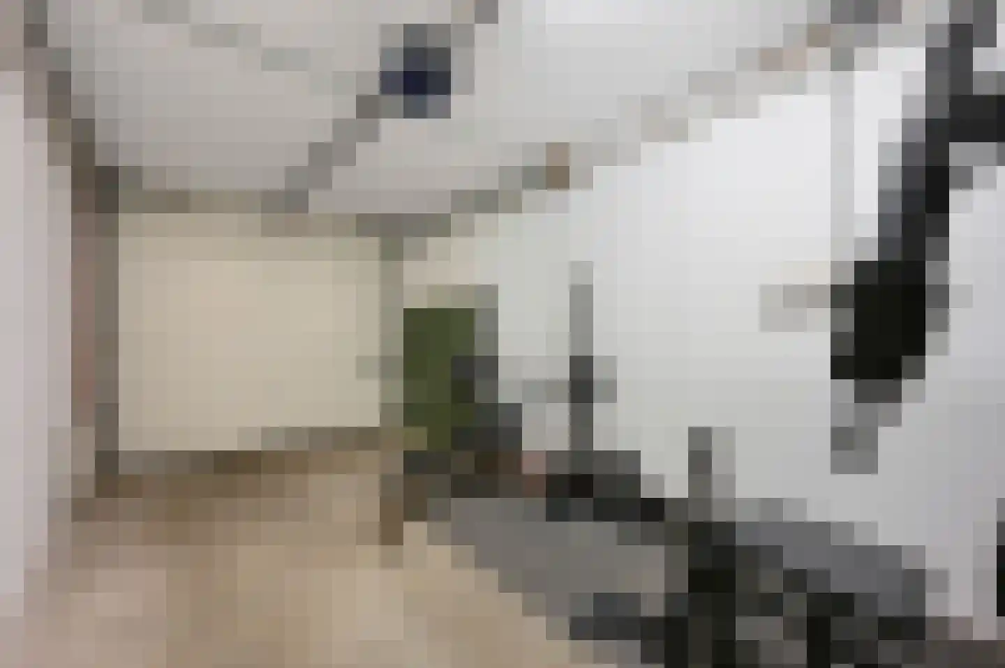 Wittelaan 4 A Wassenaar thumbnail 5