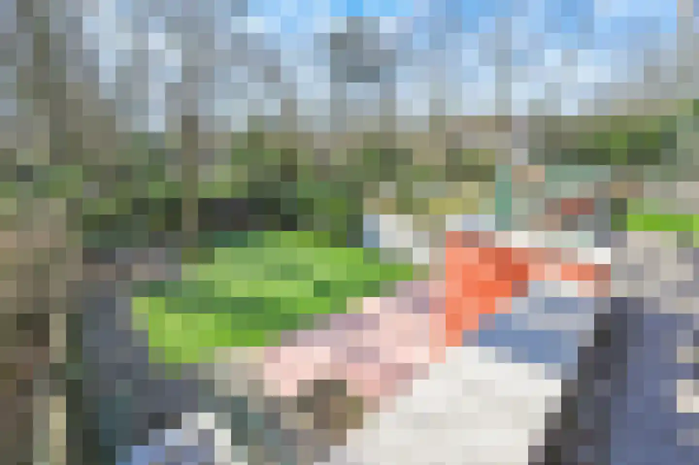 Wittelaan 4 A Wassenaar thumbnail 55