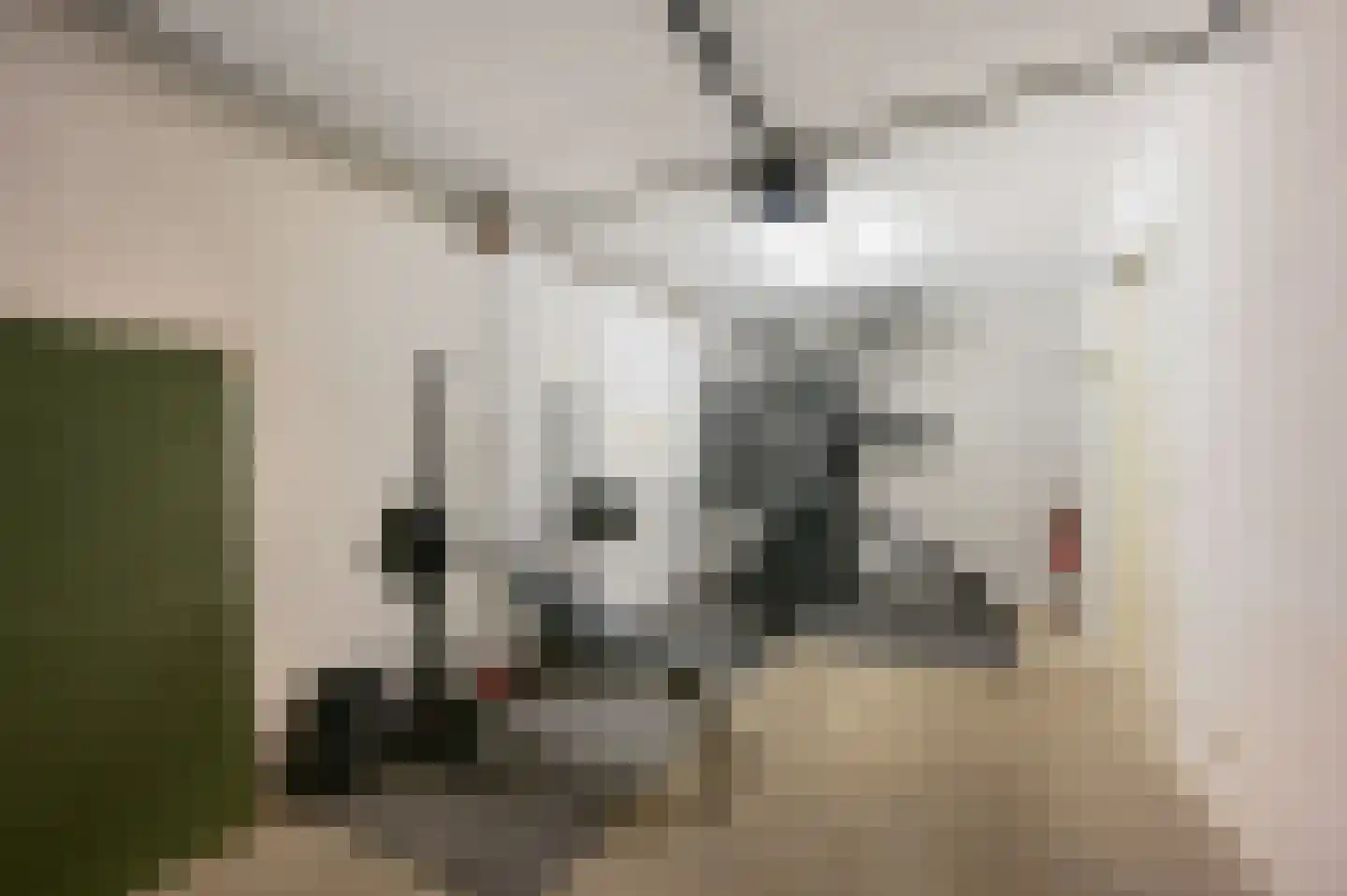 Wittelaan 4 A Wassenaar thumbnail 56