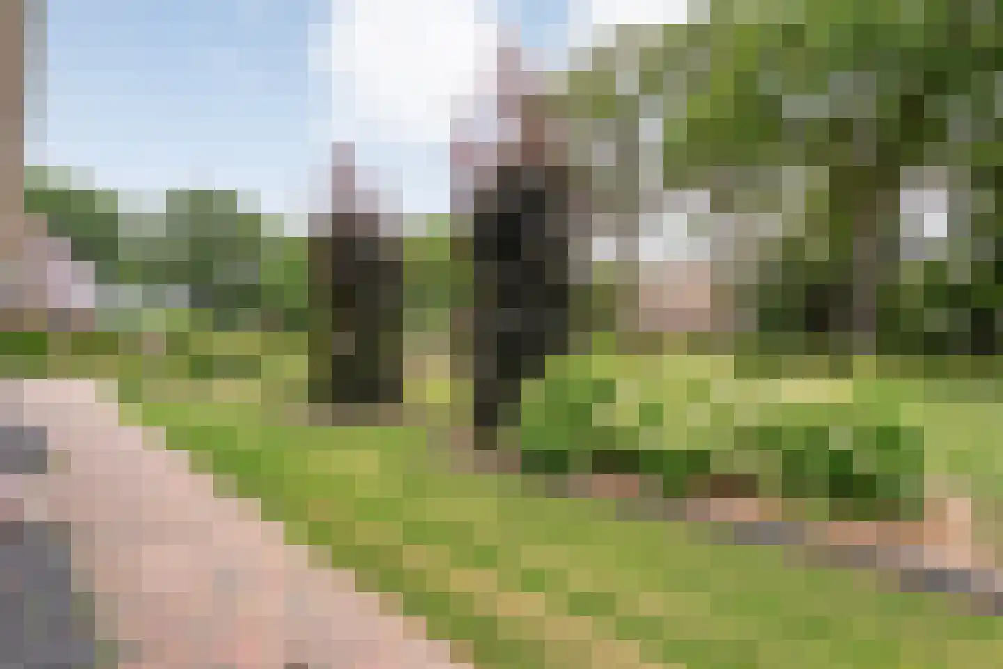 Wittelterweg 14 a Wittelte thumbnail 13
