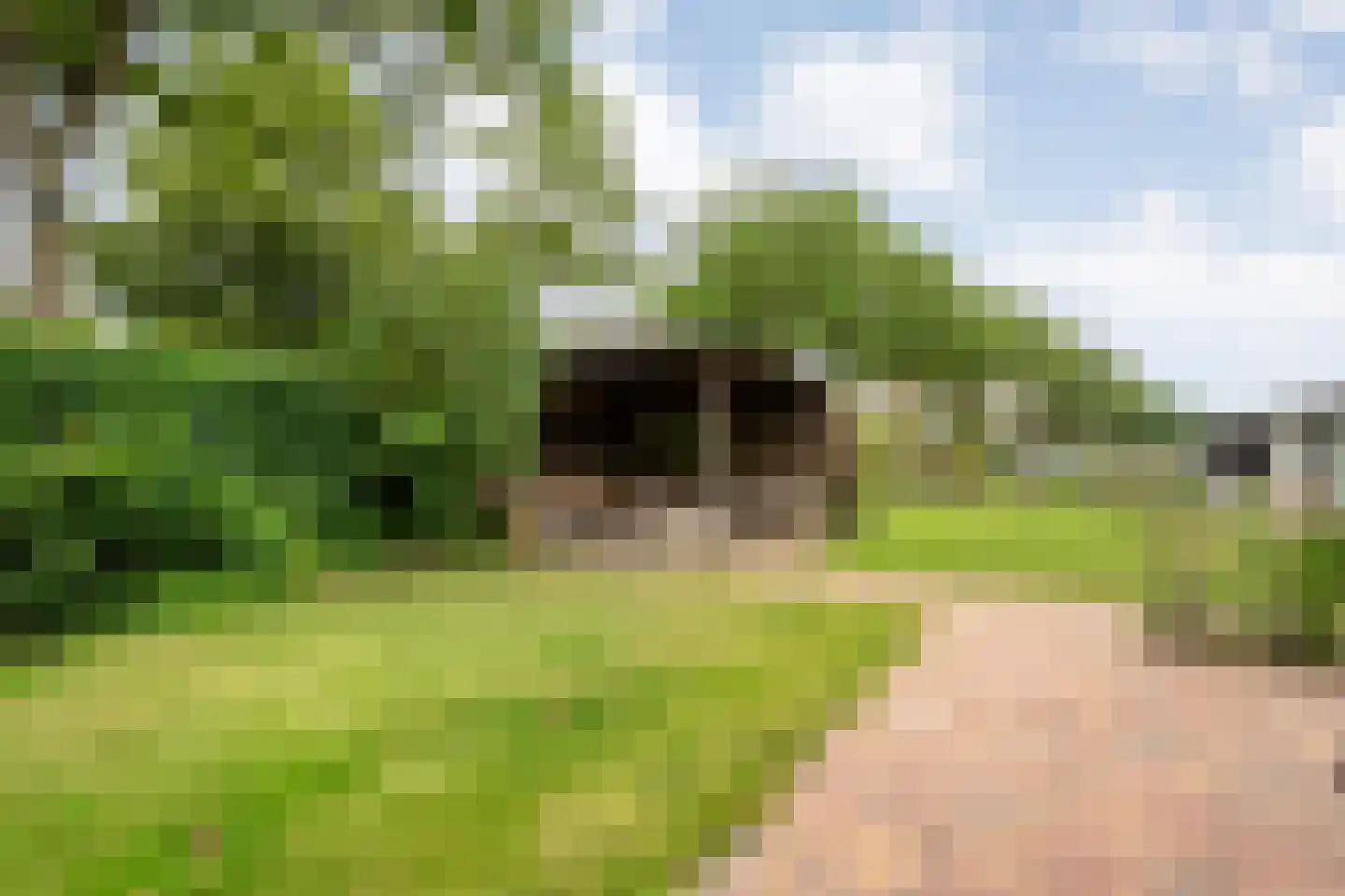Wittelterweg 14 a Wittelte thumbnail 57