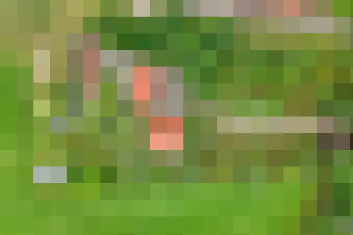 Wittelterweg 6 Diever thumbnail 10