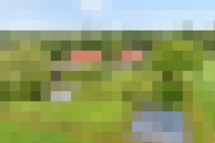 Wittelterweg 6 Diever thumbnail 11
