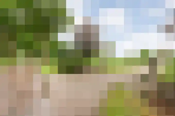 Wittelterweg 6 Diever thumbnail 13