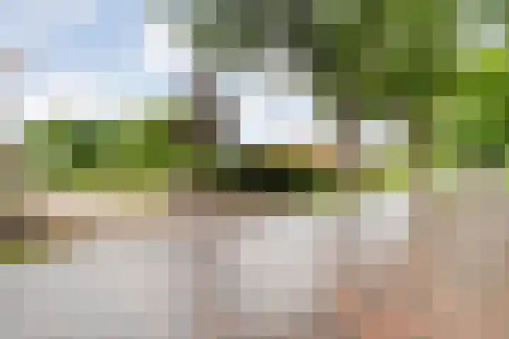 Wittelterweg 6 Diever thumbnail 14