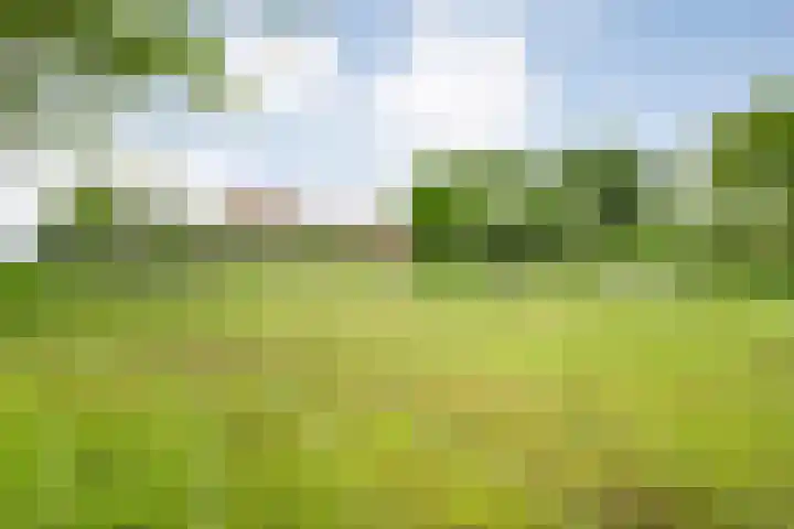 Wittelterweg 6 Diever thumbnail 15