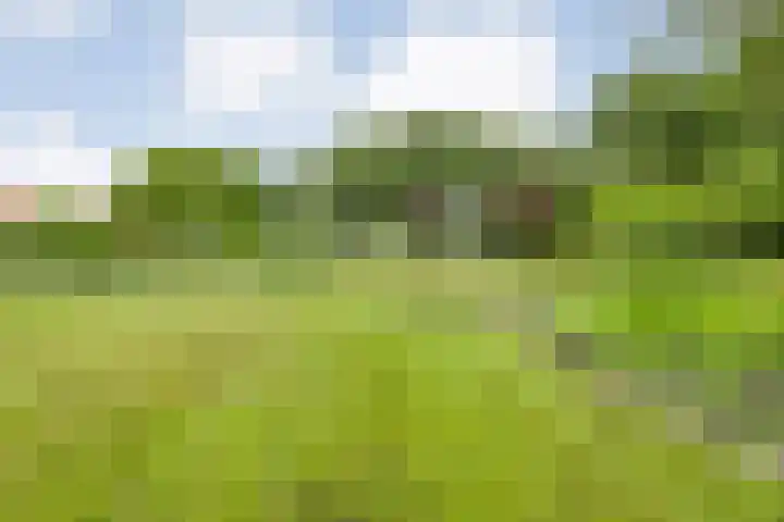 Wittelterweg 6 Diever thumbnail 16