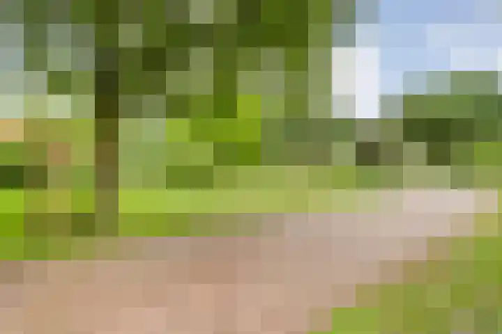 Wittelterweg 6 Diever thumbnail 17