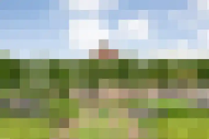 Wittelterweg 6 Diever thumbnail 18