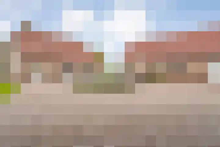 Wittelterweg 6 Diever thumbnail 19