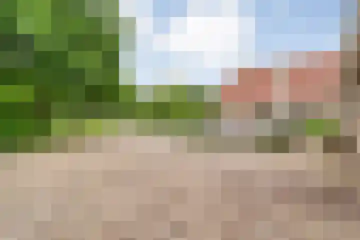 Wittelterweg 6 Diever thumbnail 20