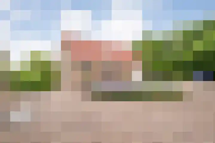 Wittelterweg 6 Diever thumbnail 21