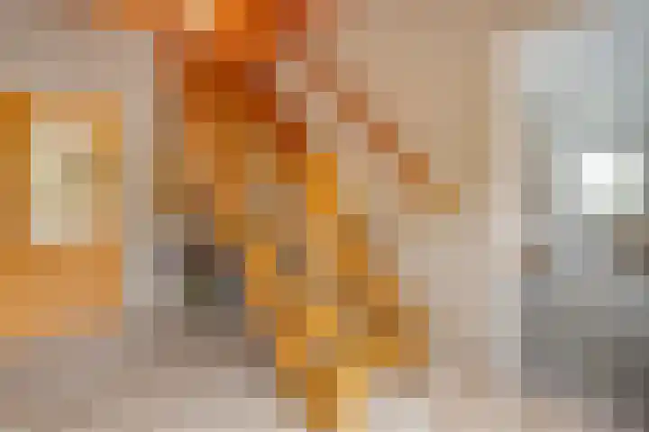 Wittelterweg 6 Diever thumbnail 22