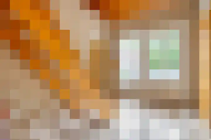 Wittelterweg 6 Diever thumbnail 23