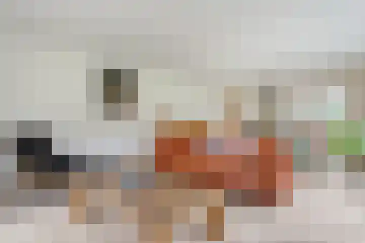 Wittelterweg 6 Diever thumbnail 25