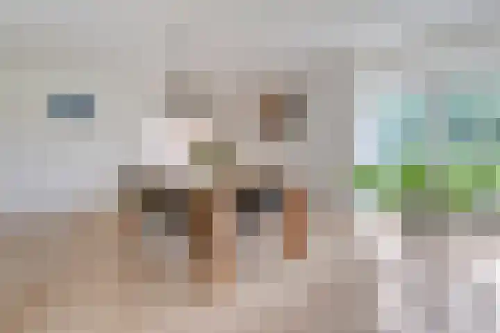 Wittelterweg 6 Diever thumbnail 27