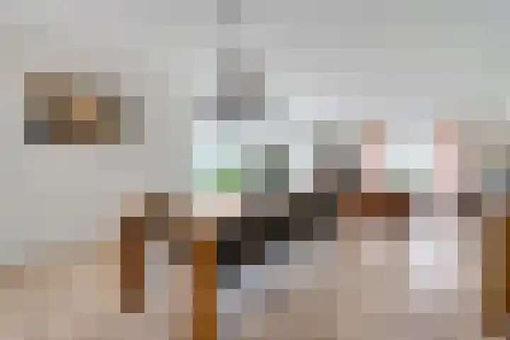 Wittelterweg 6 Diever thumbnail 28