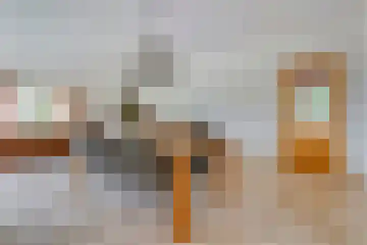 Wittelterweg 6 Diever thumbnail 29
