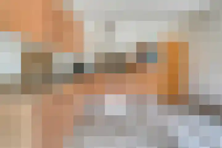 Wittelterweg 6 Diever thumbnail 31