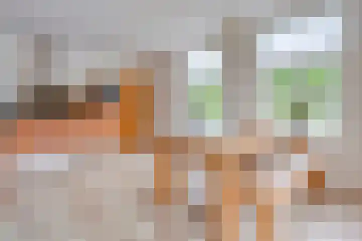 Wittelterweg 6 Diever thumbnail 4