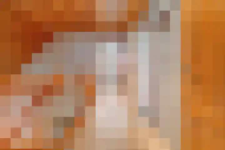 Wittelterweg 6 Diever thumbnail 41