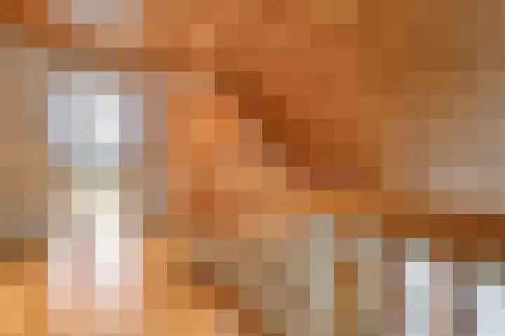 Wittelterweg 6 Diever thumbnail 42