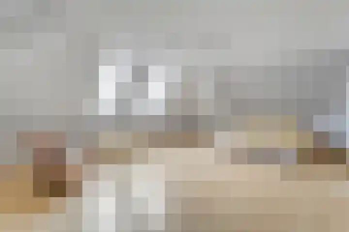 Wittelterweg 6 Diever thumbnail 44
