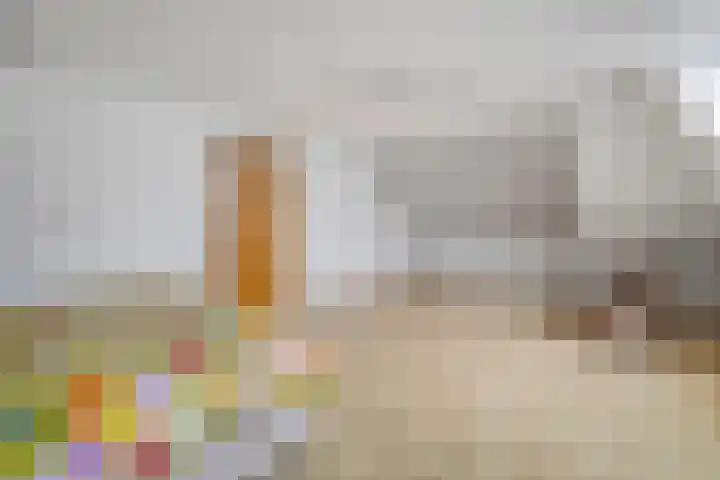 Wittelterweg 6 Diever thumbnail 45