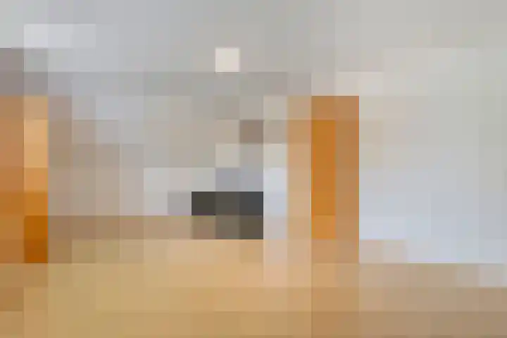 Wittelterweg 6 Diever thumbnail 47