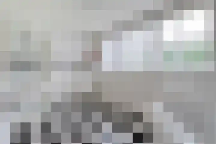 Wittelterweg 6 Diever thumbnail 48