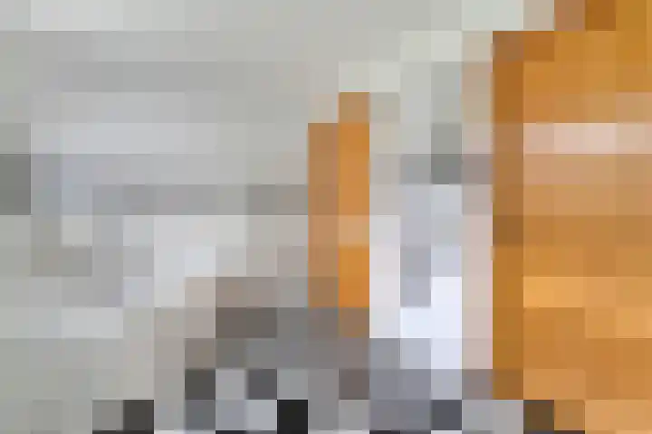 Wittelterweg 6 Diever thumbnail 49