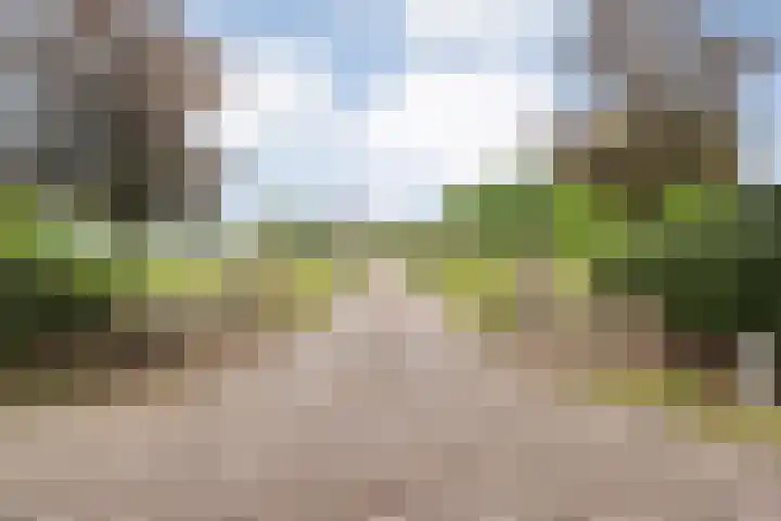 Wittelterweg 6 Diever thumbnail 5
