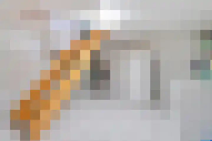 Wittelterweg 6 Diever thumbnail 50