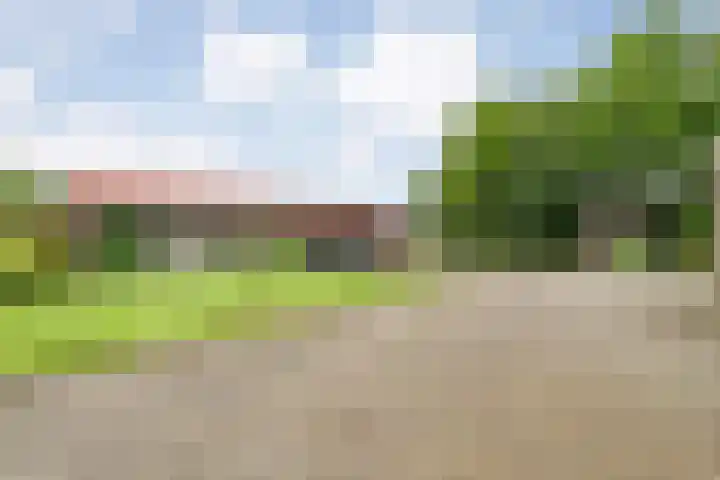 Wittelterweg 6 Diever thumbnail 52