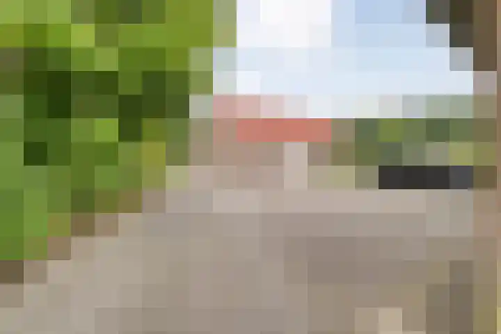 Wittelterweg 6 Diever thumbnail 53