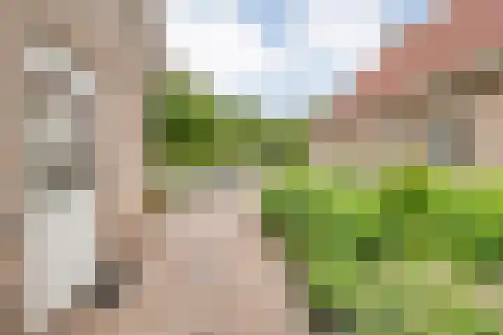 Wittelterweg 6 Diever thumbnail 54