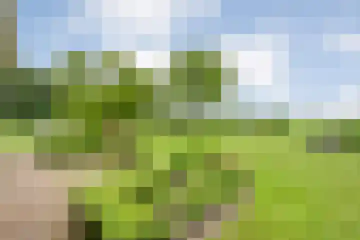 Wittelterweg 6 Diever thumbnail 55