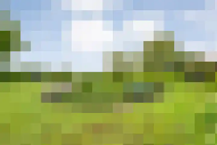 Wittelterweg 6 Diever thumbnail 56