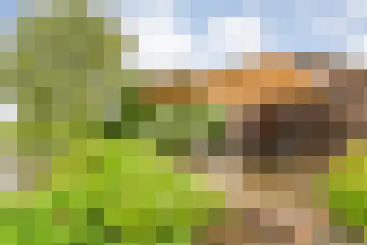 Wittelterweg 6 Diever thumbnail 57