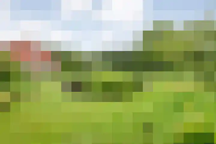 Wittelterweg 6 Diever thumbnail 58