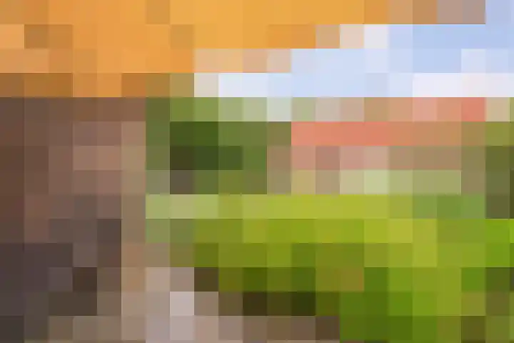 Wittelterweg 6 Diever thumbnail 59