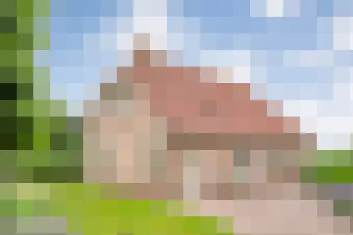 Wittelterweg 6 Diever thumbnail 6