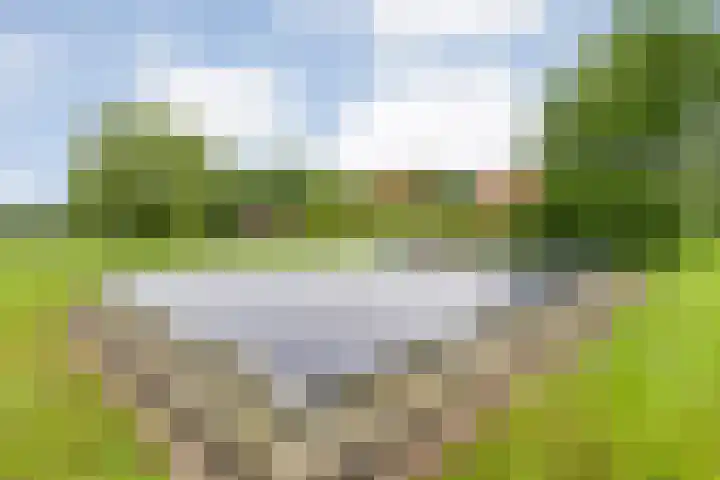 Wittelterweg 6 Diever thumbnail 60
