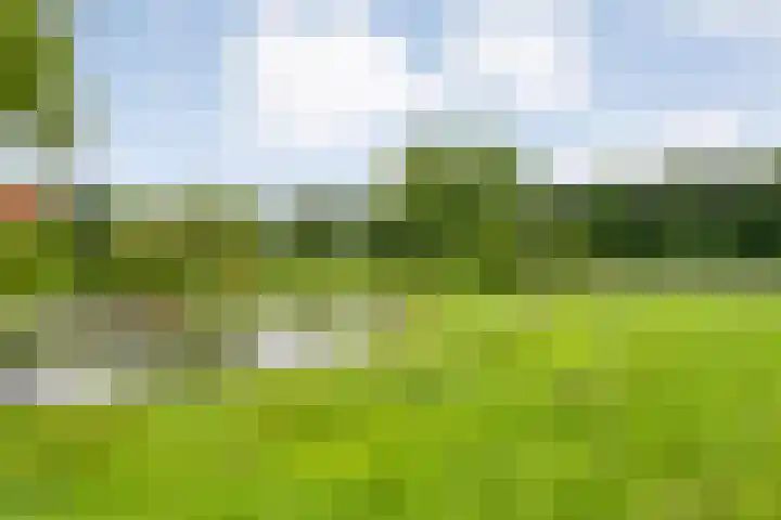 Wittelterweg 6 Diever thumbnail 61