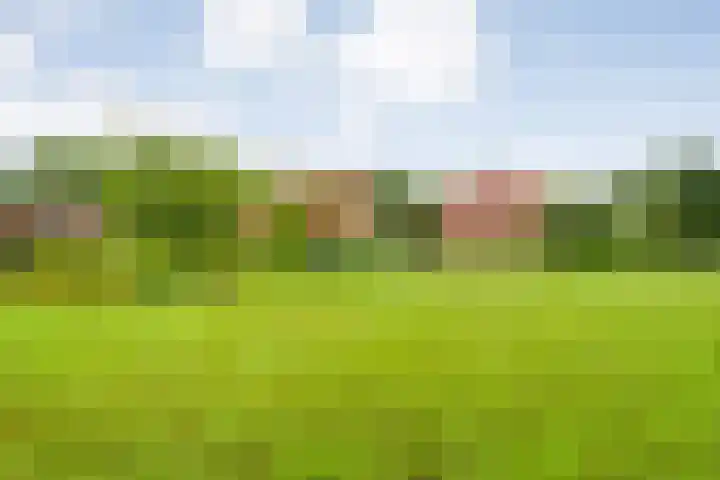 Wittelterweg 6 Diever thumbnail 62